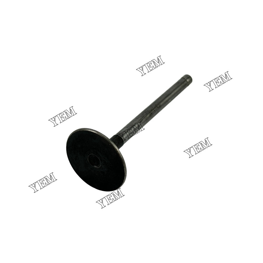 3TNM68 Intake & Exhaust Valve 119125-11100 For Yanmar Engine parts