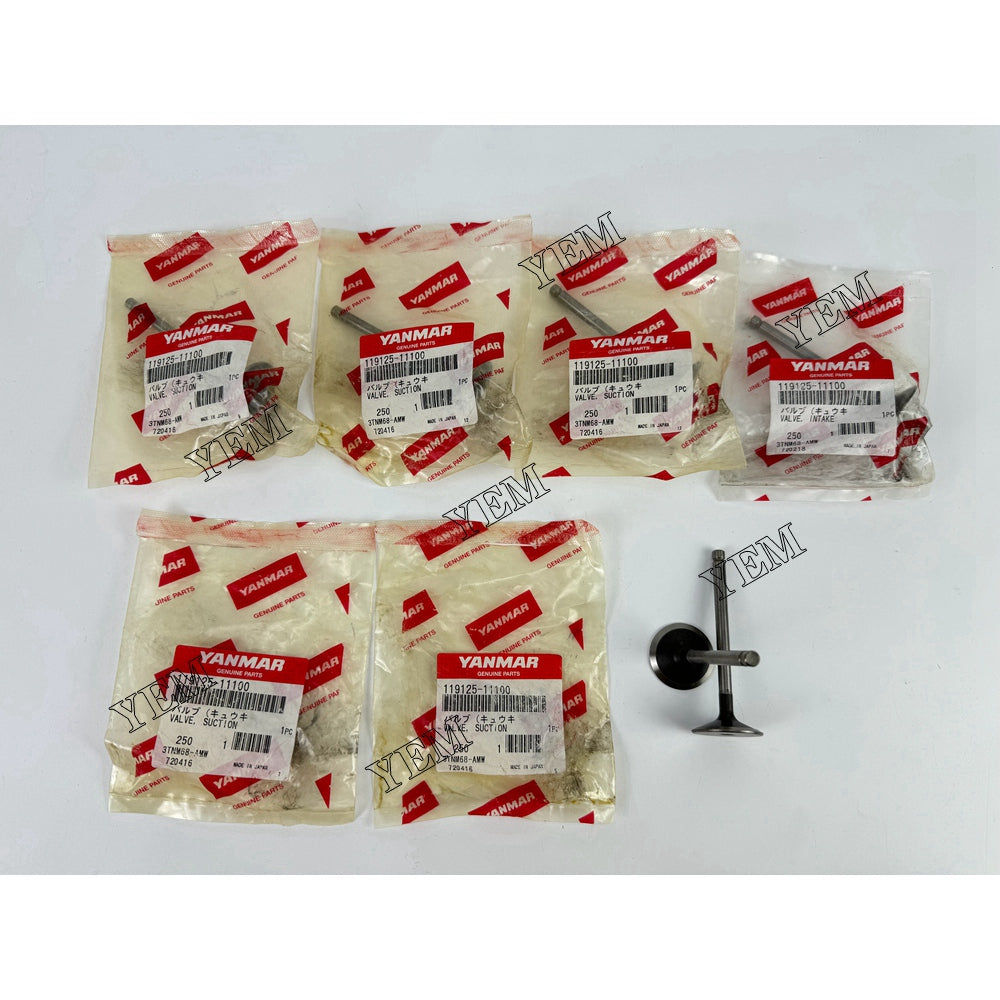 3TNM68 Intake & Exhaust Valve 119125-11100 For Yanmar Engine parts