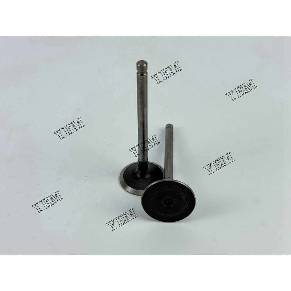 3TNM68 Intake & Exhaust Valve 119125-11100 For Yanmar Engine parts